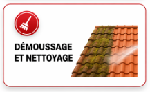 service démoussage et nettoyage toiture strasbourg